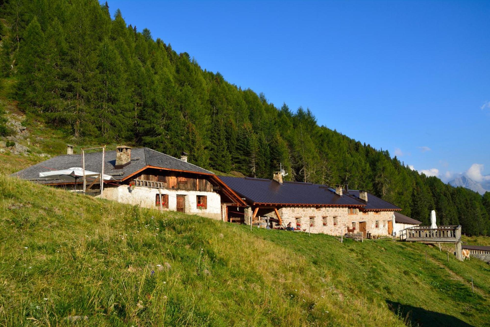 Nestalp Malga Campo Villa Peio Exterior photo